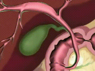 1691117627338187.gif 图片2.gif