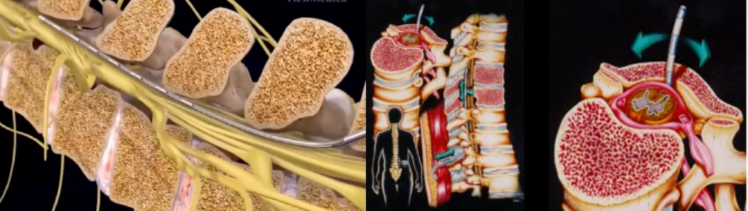 1691117675367136.png 1691117675367136.png